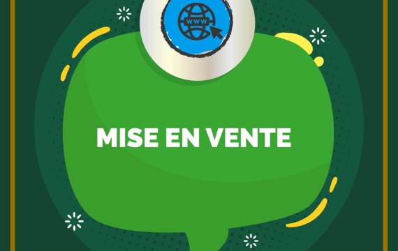 Avis de mise en vente : Brarudi